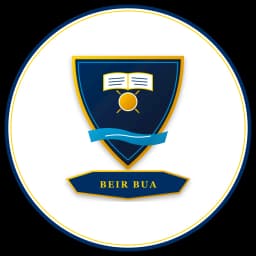 Dublin City University crest