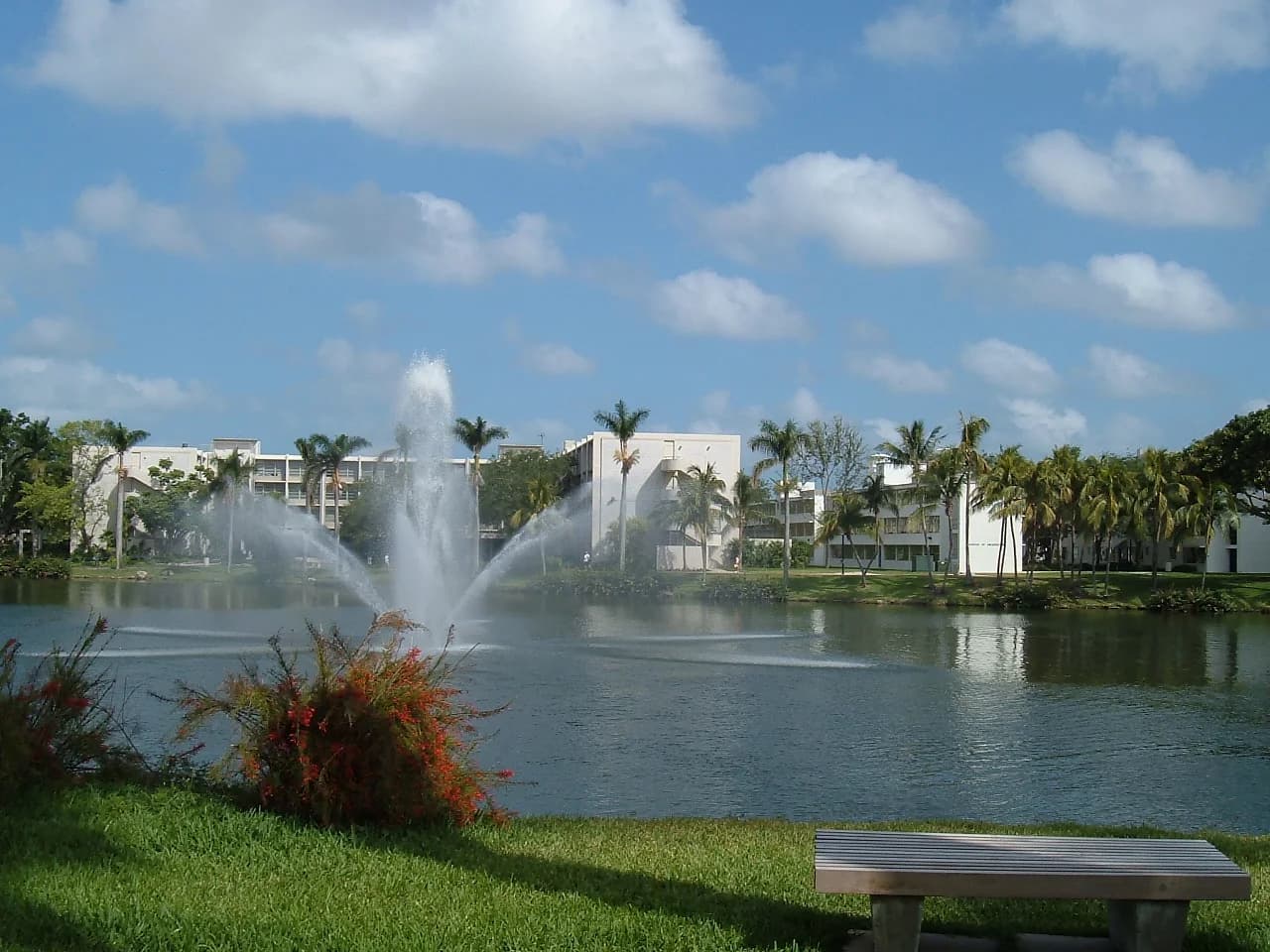 University of Miami campus cover