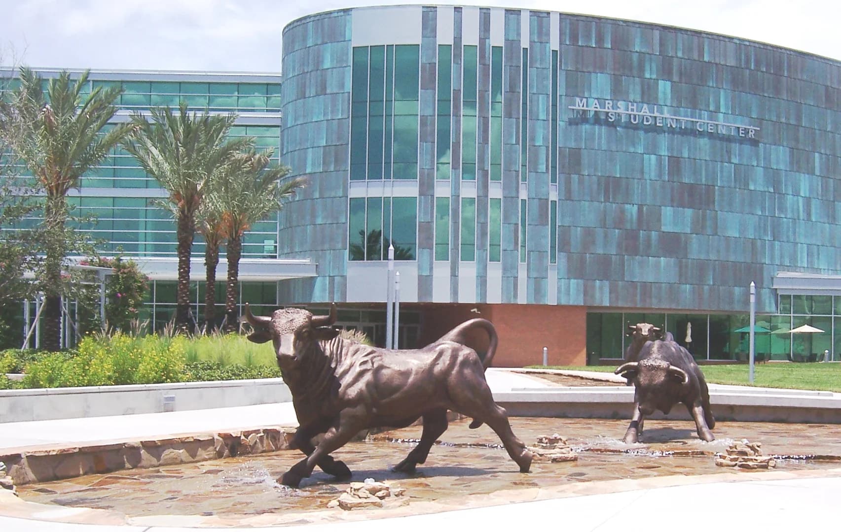 University of South Florida campus cover