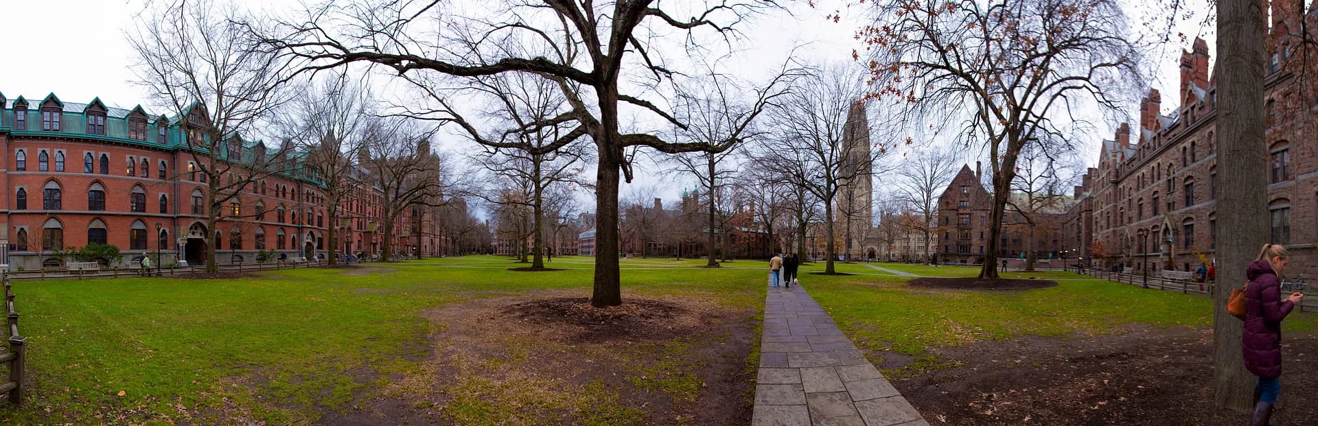 IAIC Releases 2026 Global Student Mobility Index: Tech and Sustainability Degrees Lead Demand